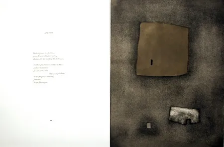 Libro Ilustrado Nóvoa - Alén