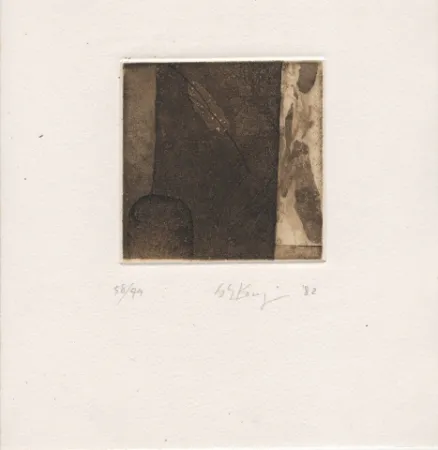 Libro Ilustrado Ochiai - Haiku