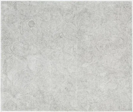 Grabado Ofili - Untitled