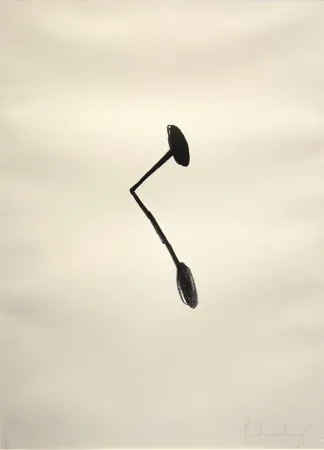 Litografía Oldenburg - Braque's Nail