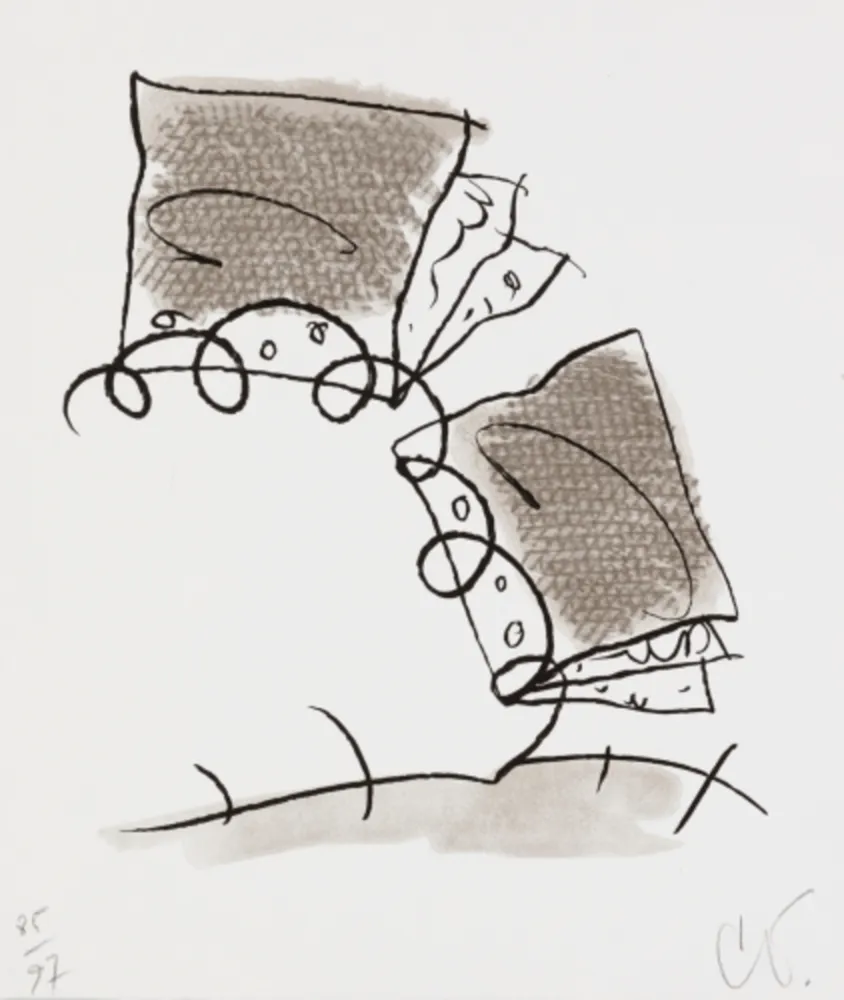 Litografía Oldenburg - Notebook Torn in Half