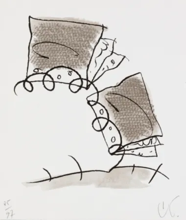 Litografía Oldenburg - Notebook Torn in Half