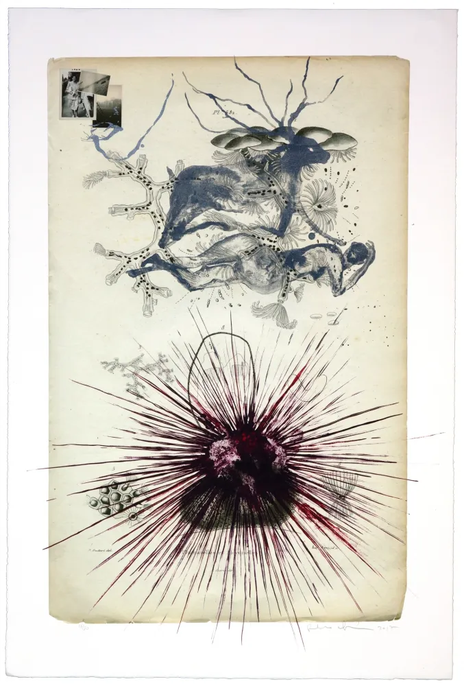 Litografía Olguin - Sans titre