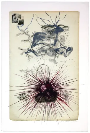 Litografía Olguin - Sans titre