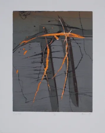 Grabado En Madera Olschewski - Xantho