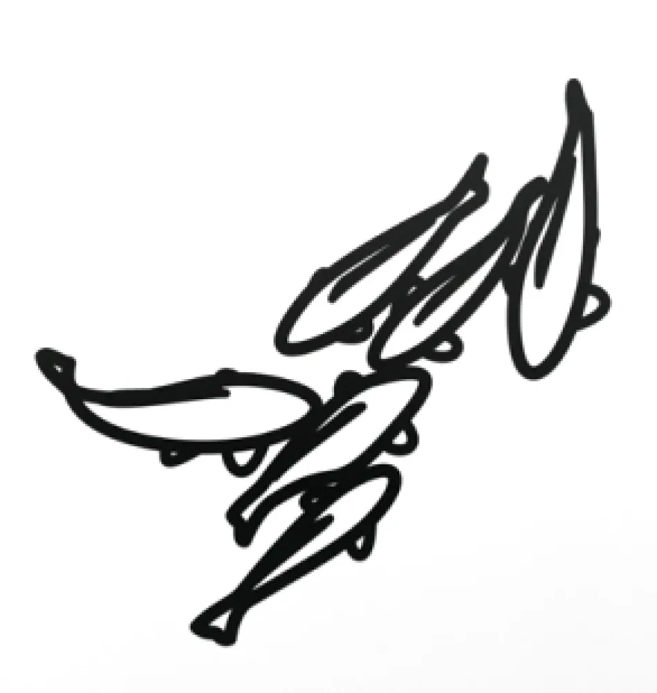 Sin Técnico Opie - Carp 1, from Nature 1 Series