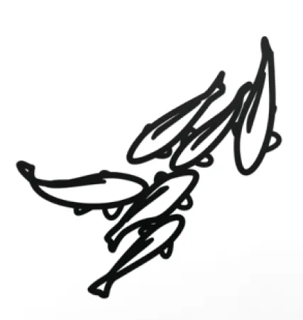 Sin Técnico Opie - Carp 1, from Nature 1 Series