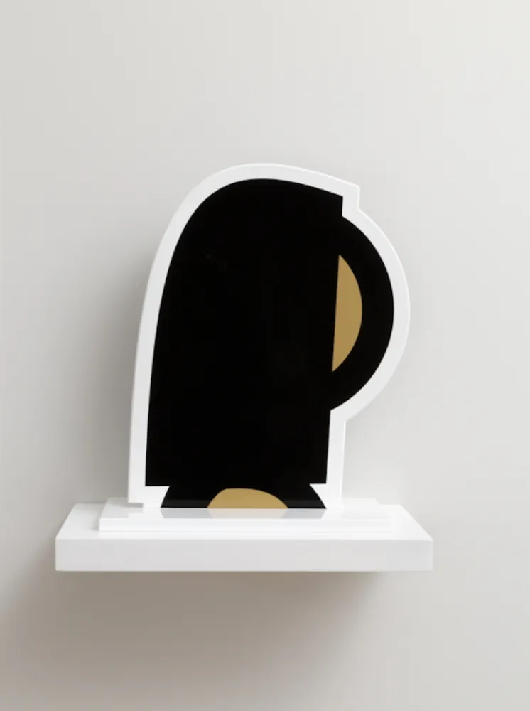 Sin Técnico Opie - Heads Zhiyun