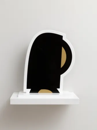 Sin Técnico Opie - Heads Zhiyun