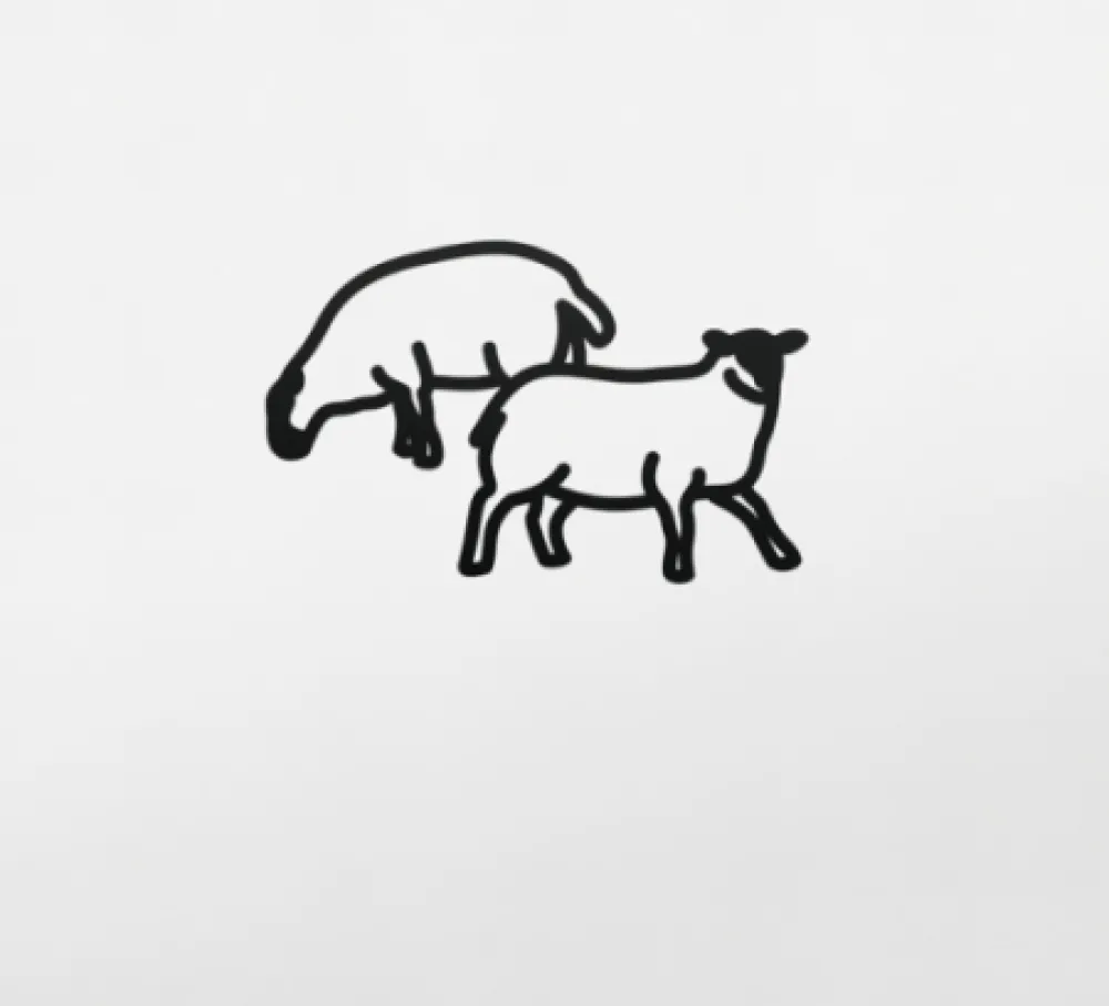 Sin Técnico Opie - Sheep 2, from Nature 1 Series