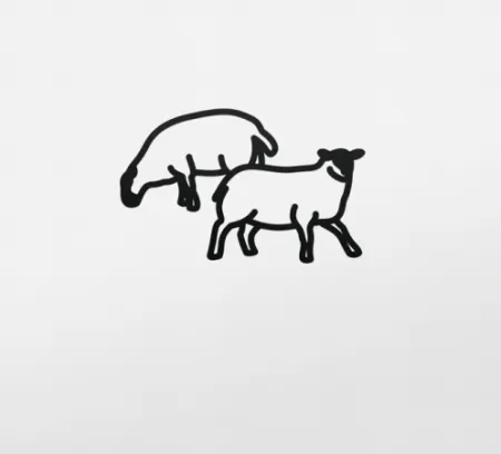 Sin Técnico Opie - Sheep 2, from Nature 1 Series