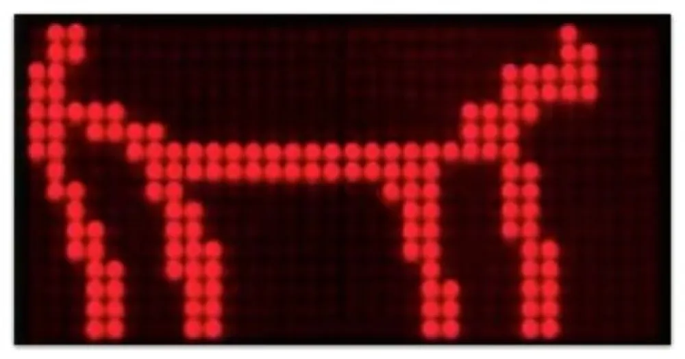 Múltiple Opie - Walk