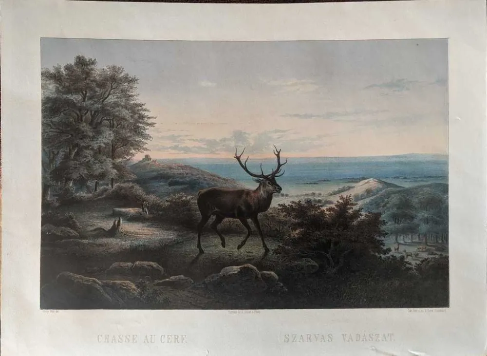 Sin Técnico Orczy - Chasse au cerf / Szarvas vadászat