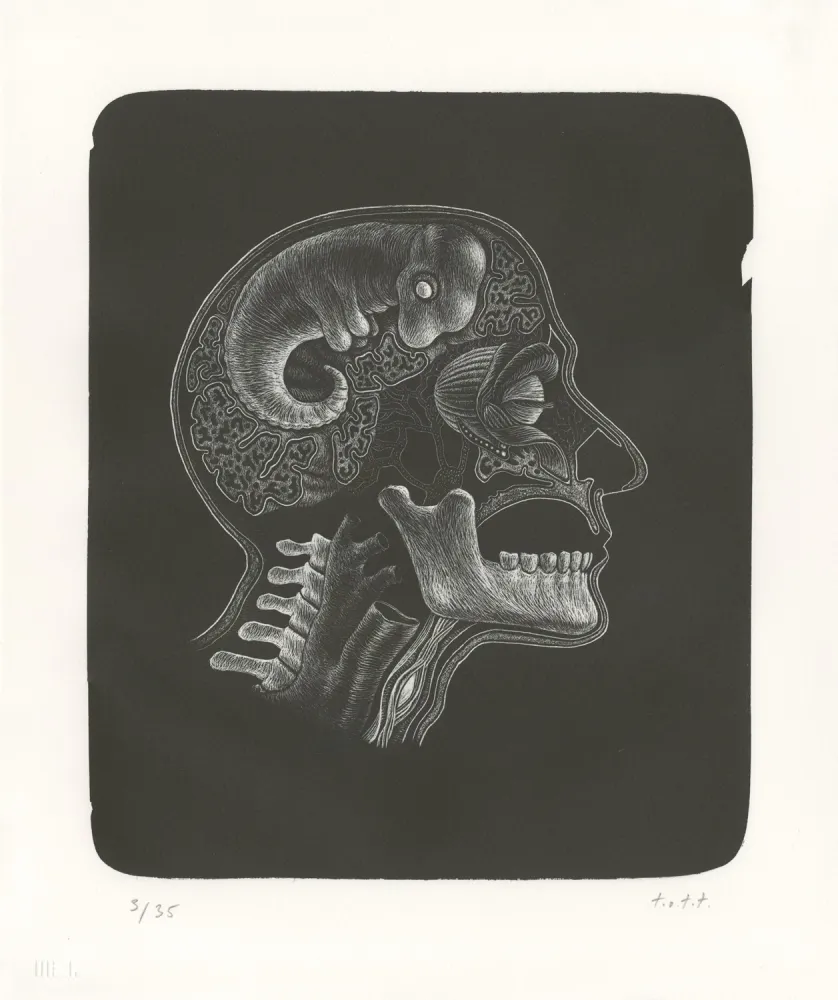 Litografía Ott - Idee (Idée)