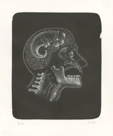 Litografía Ott - Idee (Idée)