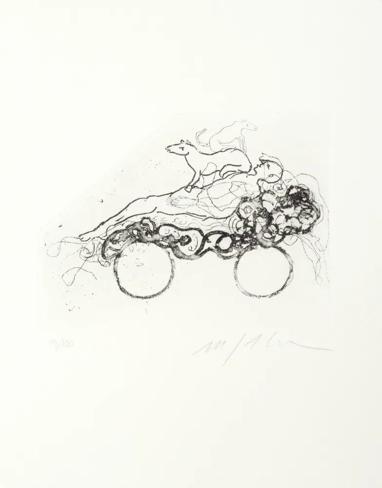 Aguafuerte Paladino - Composition