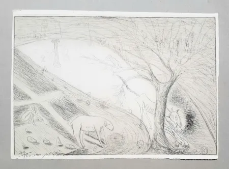 Grabado Paladino - Il lupo e l'agnello