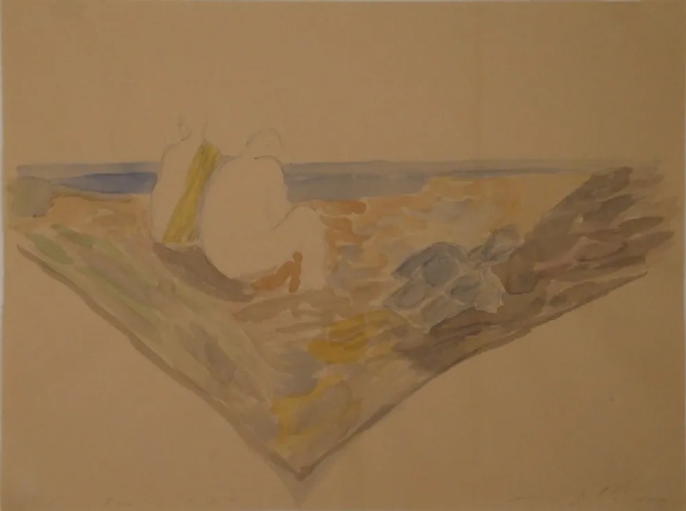 Sin Técnico Paladino - L’isola