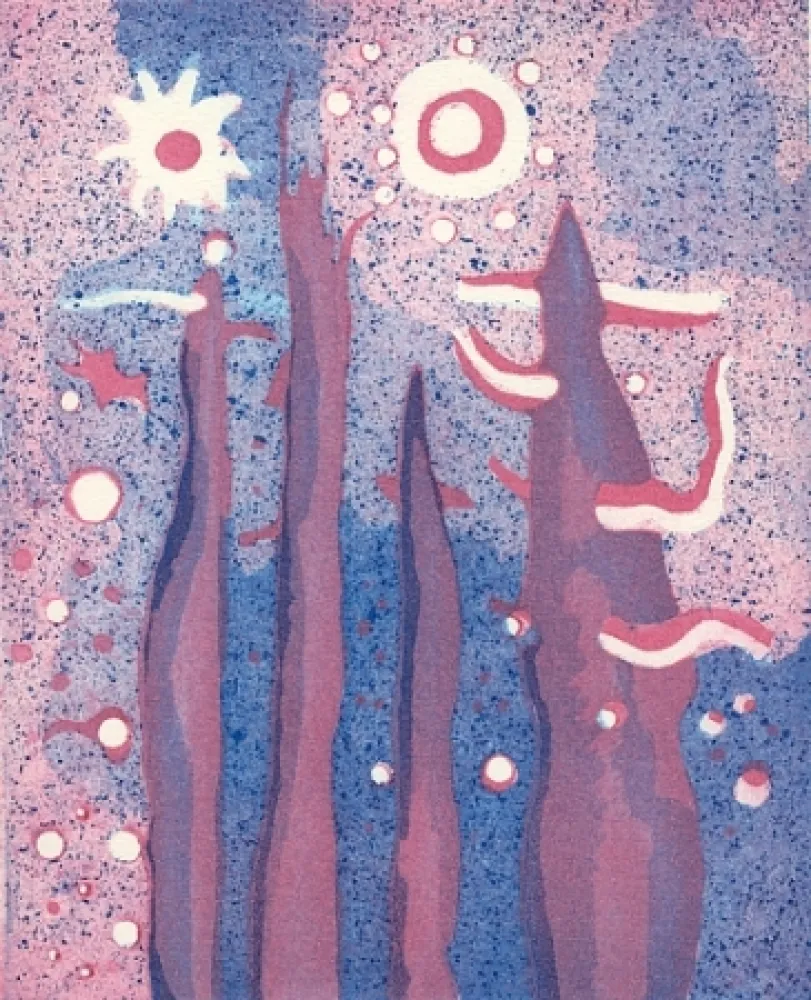 Libro Ilustrado Paladino - Piano-sequenza