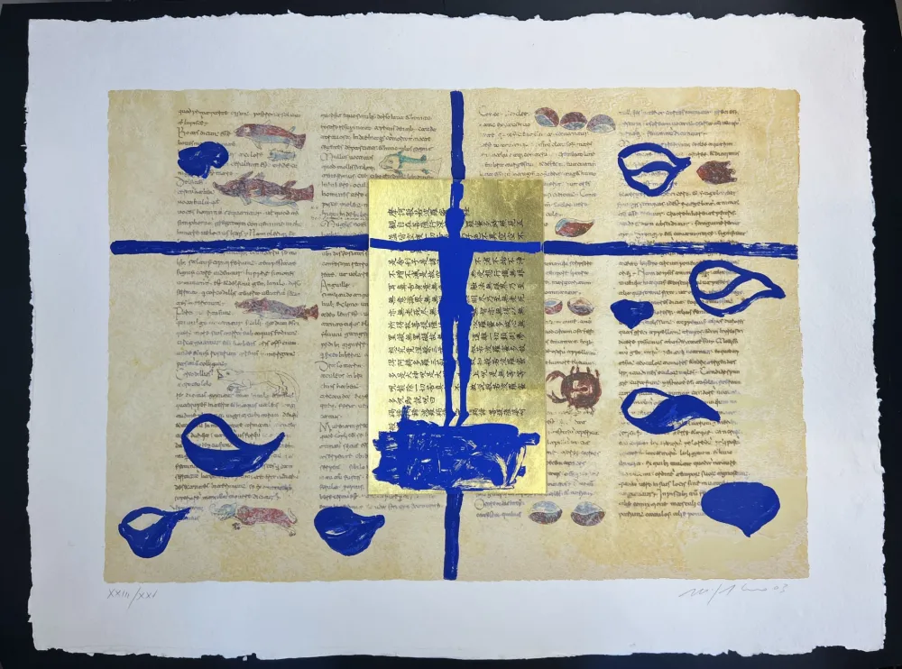 Múltiple Paladino - RABANUS MAURUS - De Universo 6