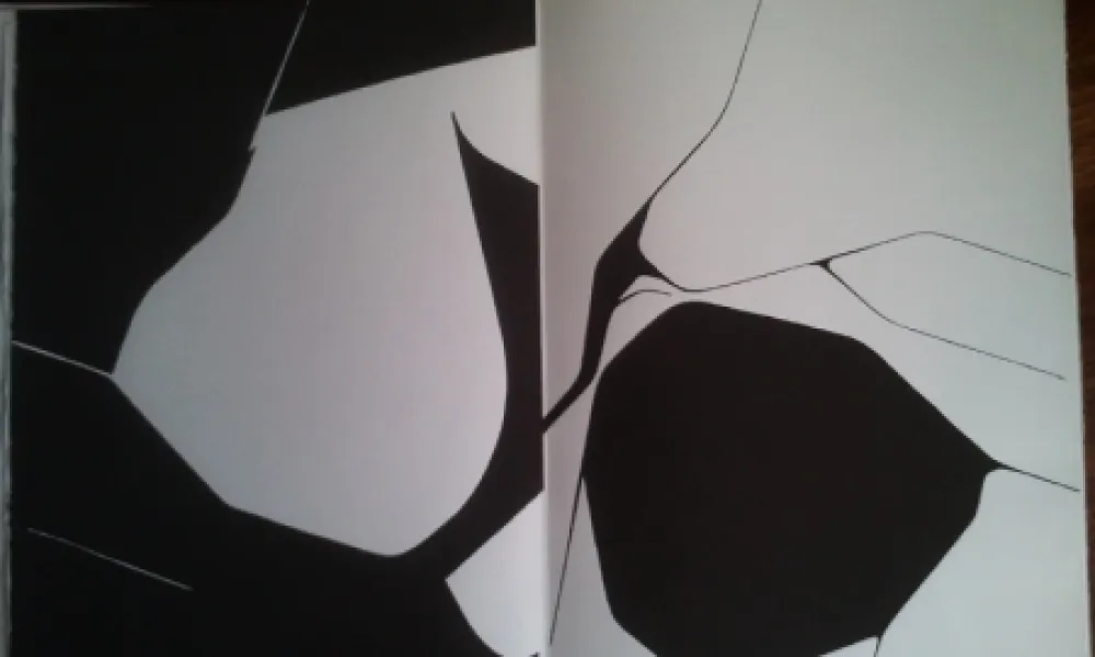 Libro Ilustrado Palazuelo - DLM 137 LUXE.