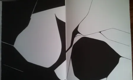 Libro Ilustrado Palazuelo - DLM 137 LUXE.