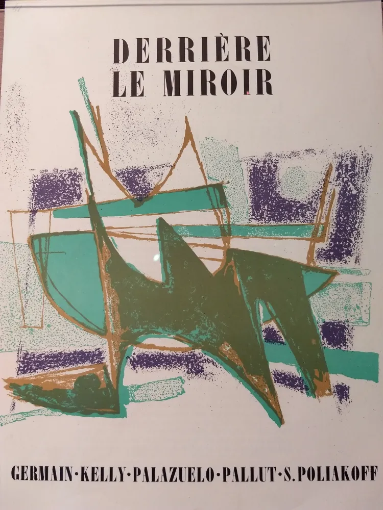 Libro Ilustrado Palazuelo - DLM 41