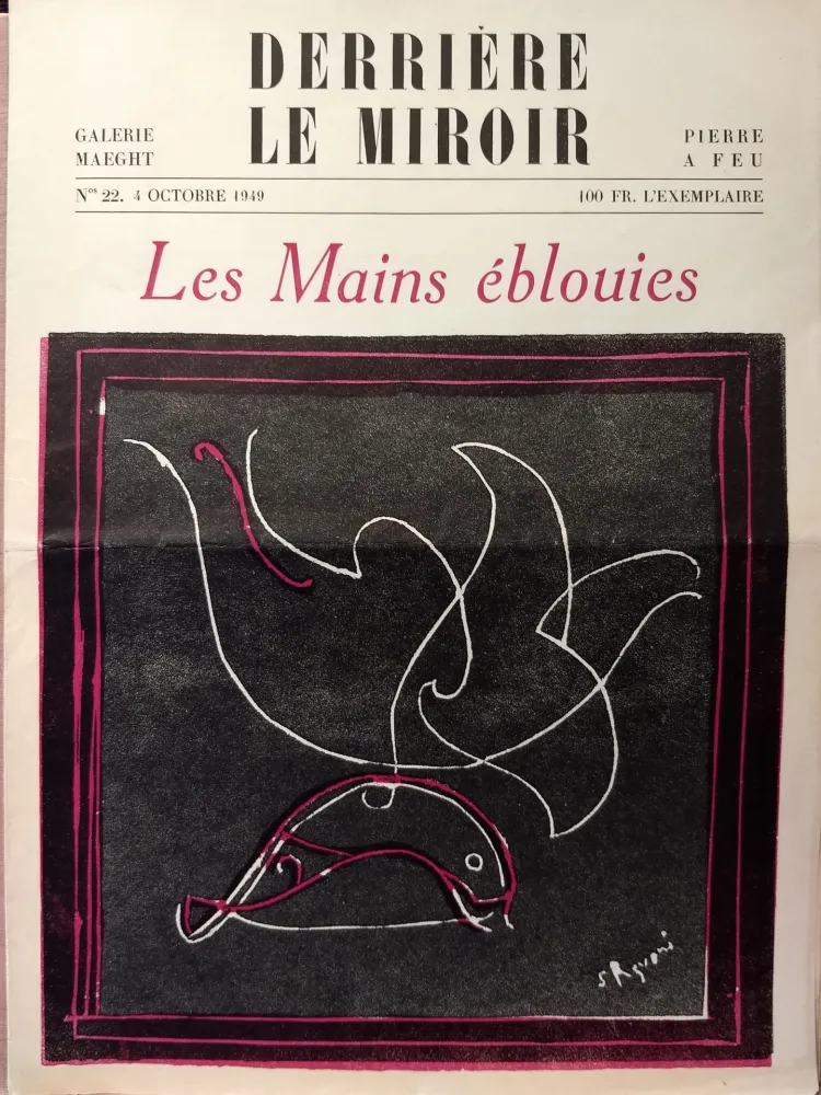 Libro Ilustrado Palazuelo - Dlm22