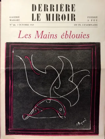 Libro Ilustrado Palazuelo - Dlm22