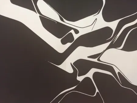 Libro Ilustrado Palazuelo - Edition Tete DLM 137