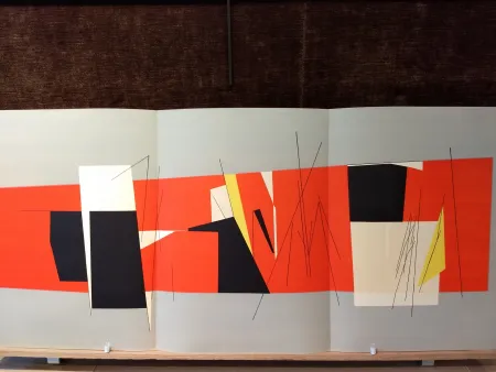 Libro Ilustrado Palazuelo - Tendance