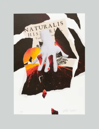 Litografía Paolini - Naturalis historia