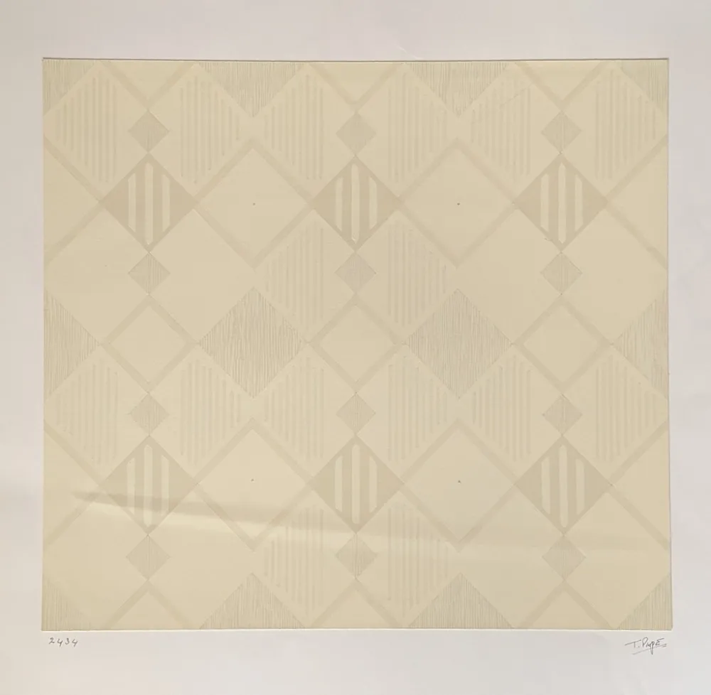 Sin Técnico Pape - Untitled