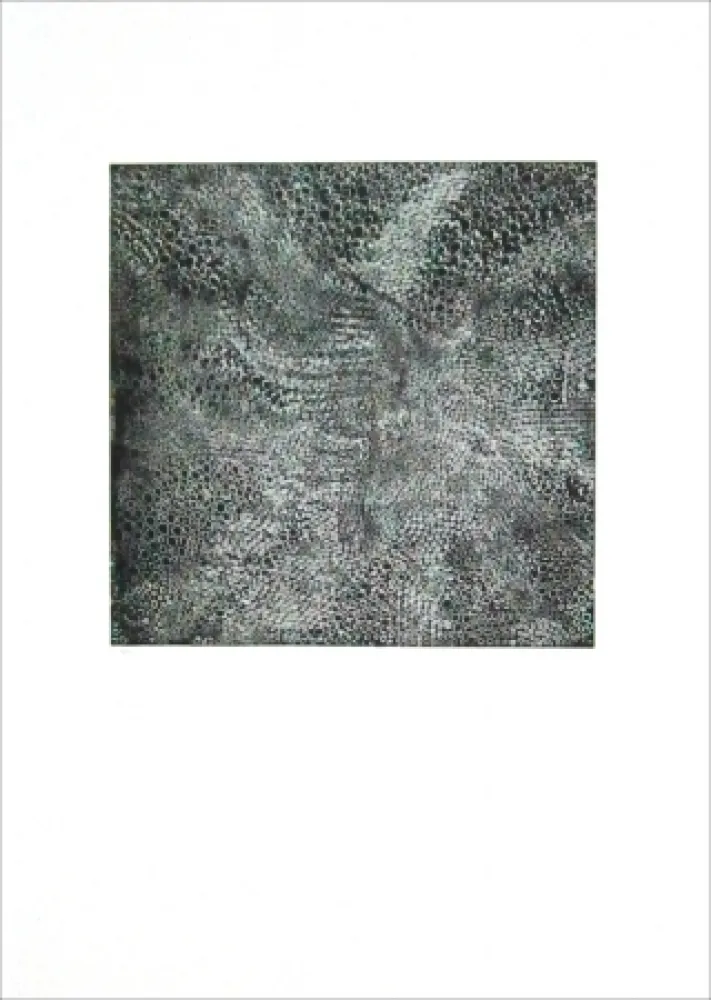 Aguafuerte Parant - Eboulement pour le ciel