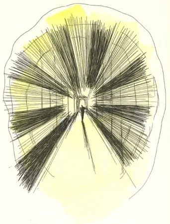 Libro Ilustrado Parmiggiani - Carte nere