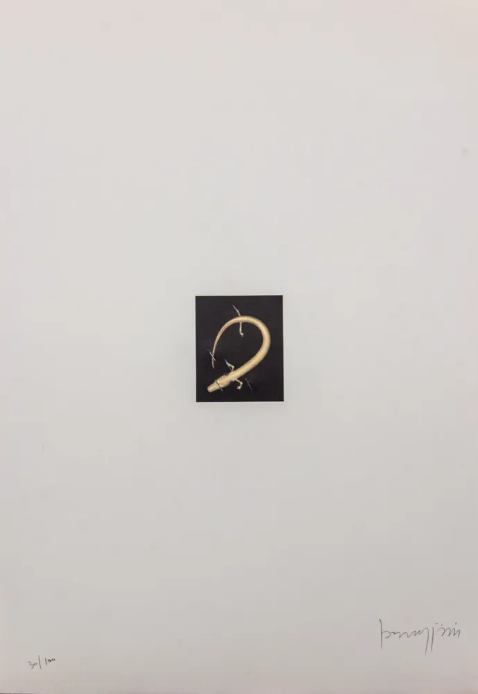 Litografía Parmiggiani - SENZA TITOLO