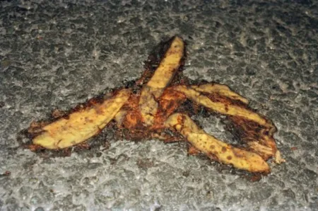 Múltiple Parr - #27