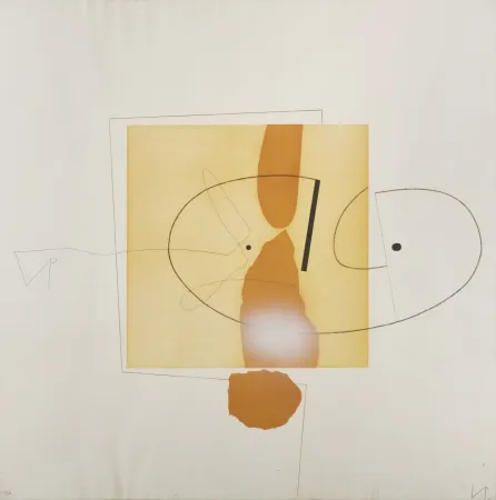 Grabado Pasmore - Victor Pasmore (1908-1998) – The owl of Minerva – Aquatint etching on paper – 1978