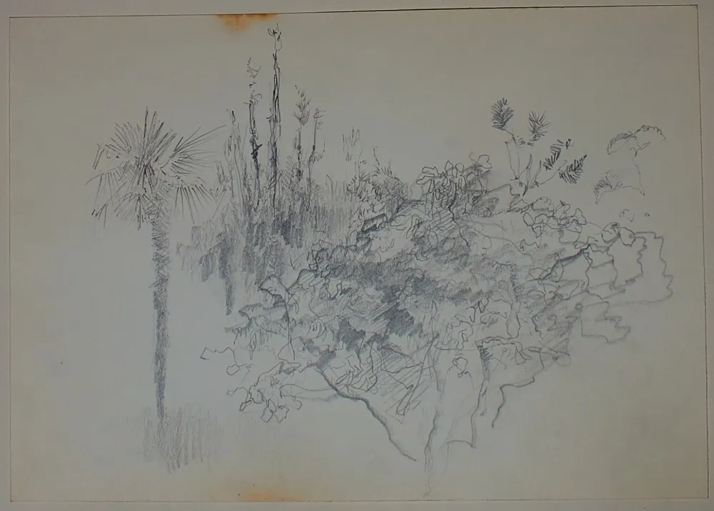 Sin Técnico Pastor - Etude