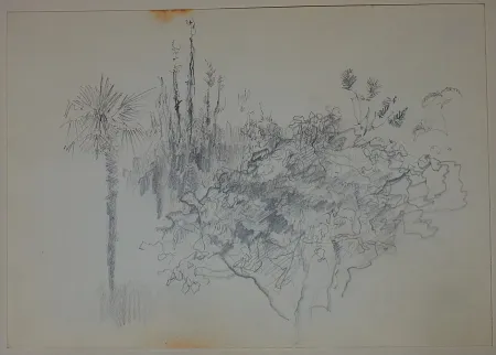 Sin Técnico Pastor - Etude