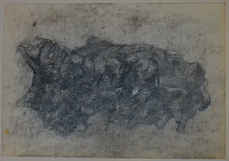 Sin Técnico Pastor - Etude