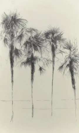 Grabado Paul P - Palmeres