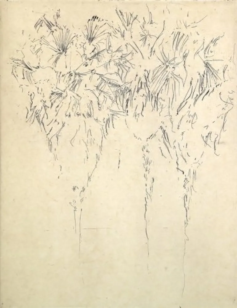 Grabado Paul P - Tres palmeres