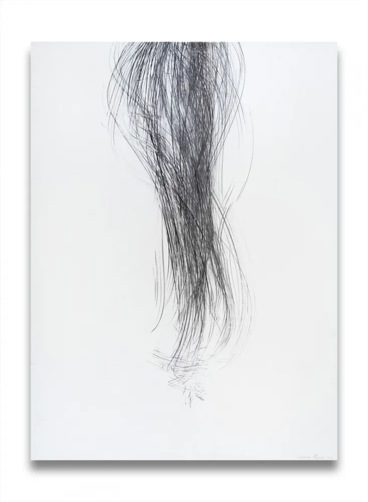 Sin Técnico Peerna - Spill (ref 857)