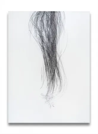 Sin Técnico Peerna - Spill (ref 857)