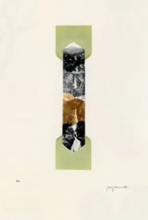 Litografía Perejaume - El bosc a casa-4