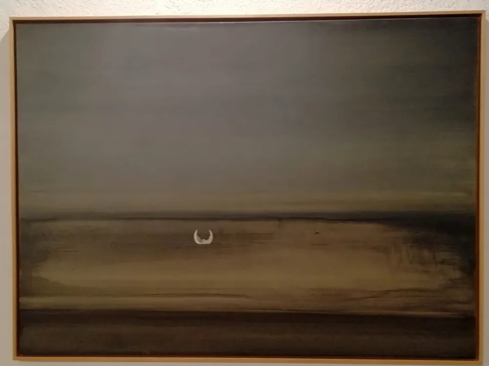 Sin Técnico Perejaume - Ludwigsee