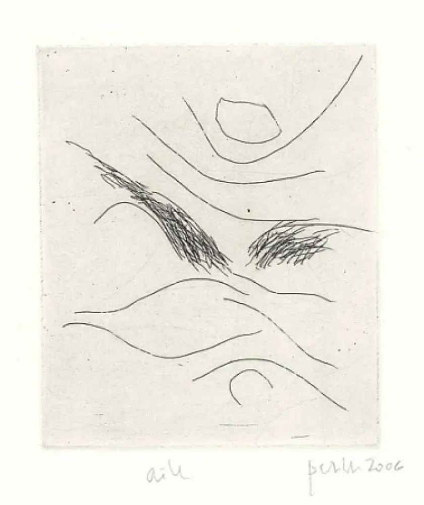 Libro Ilustrado Perilli - Dal diario di Max