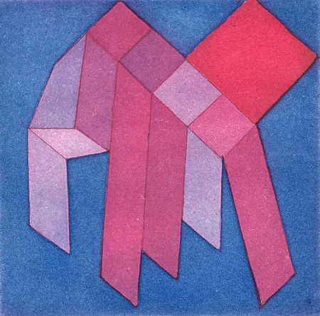 Libro Ilustrado Perilli - Enclave