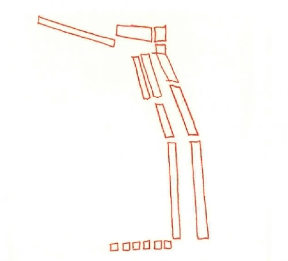 Libro Ilustrado Perilli - Main D'Aile